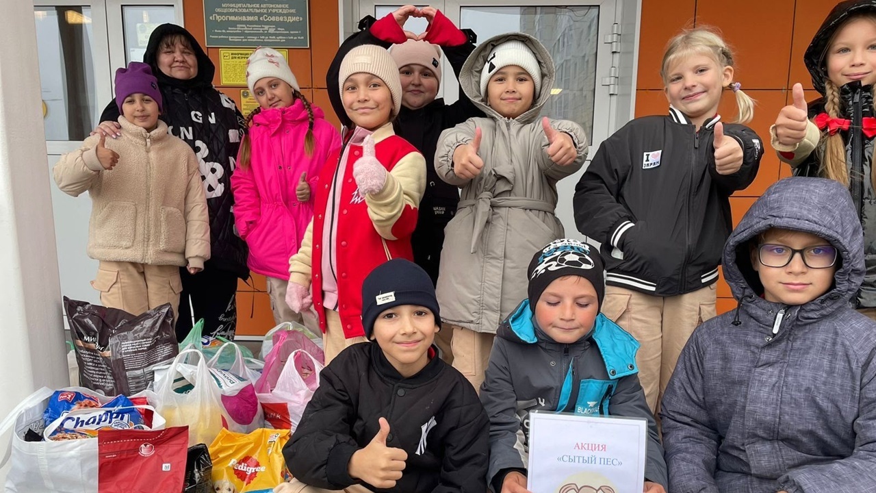 «Сытый пёс»